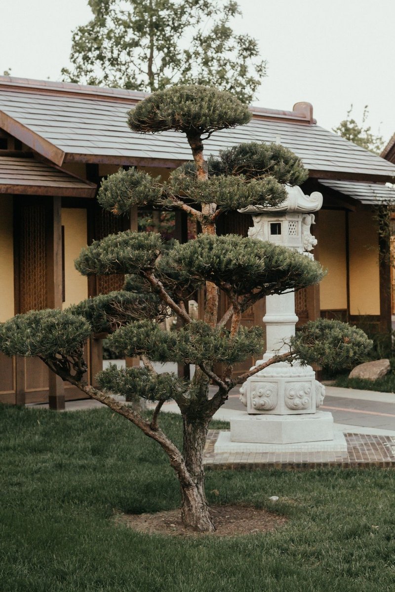 庭木の植栽・移植・仕立て